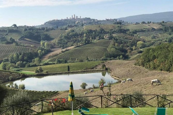Chianti Wineries Tour With Tuscan Lunch and San Gimignano - Highlights of the Guest Experience