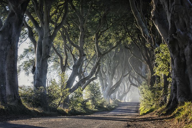 Dublin: Giants Causeway, Dark Hedges, Dunluce and Belfast Titanic Entrance Fee - Exploring the Giants Causeway