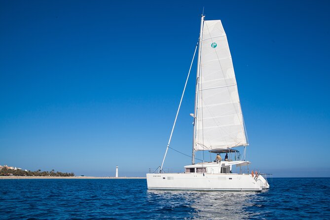 Fuerteventura: Small-Group Magic Deluxe Catamaran Cruise - Tips