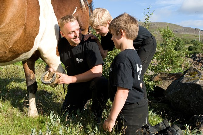 Icelandic Horseback Riding Tour Including Pick up From Reykjavik - Highlights of the Tour