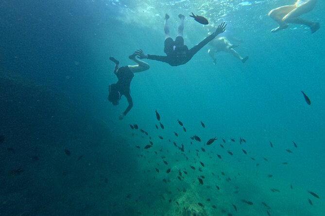 Multi-Adventure in Mallorca - Treasure Hunting and Snorkeling in Clear Waters