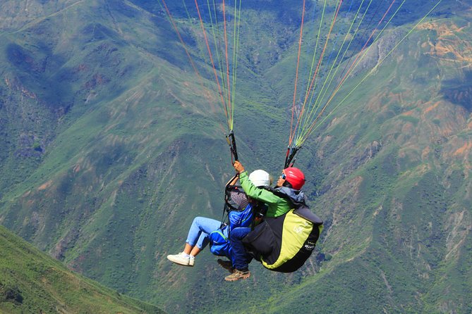 Paragliding in the Grand Canyon of Chicamocha - Feedback From Delighted Participants