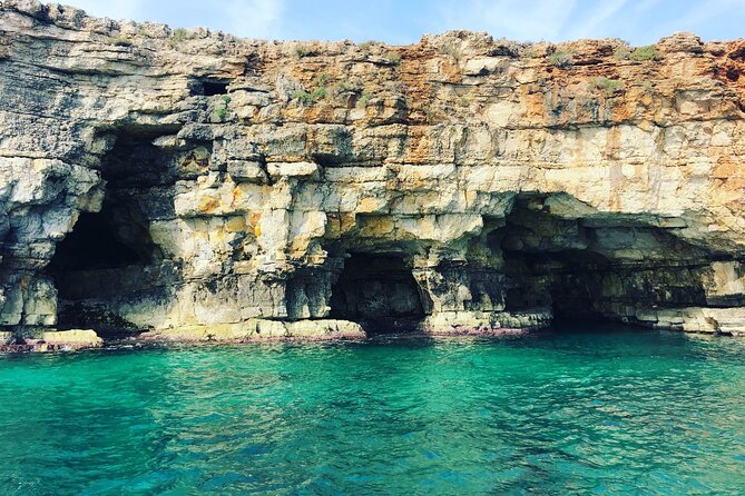 Polignano a Mare Boat Tour Emotions, Caves, Diving and Appetizers - Customer Experiences and Highlights