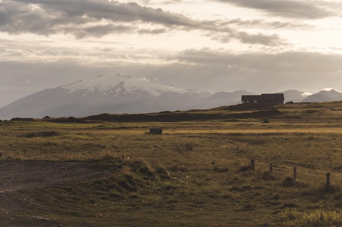 Snaefellsnes Small Group Tour With Homemade Meal From Reykjavik - Diverse Wildlife and Scenery