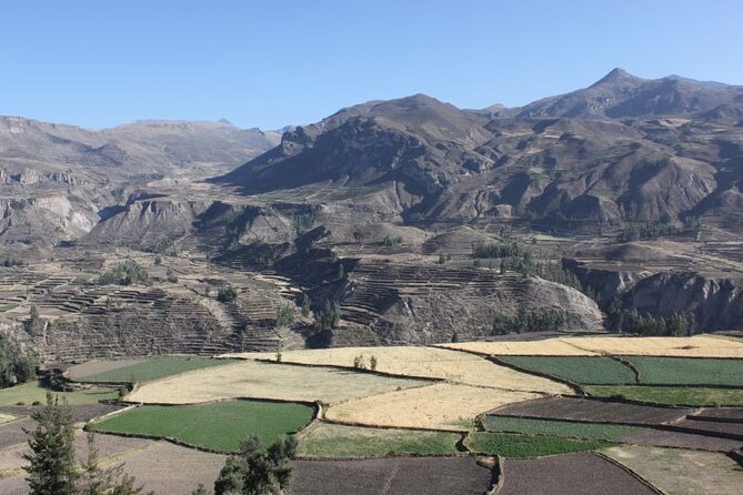 10-Day Discover Peru: Lima, Arequipa, Puno, Cusco & Machu Picchu - Reaching the Iconic Machu Picchu