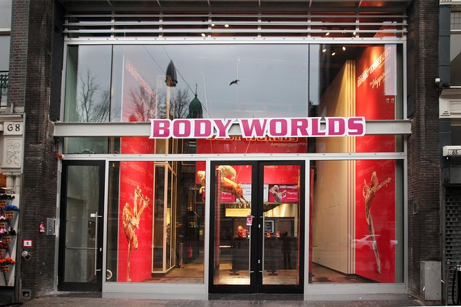 Body Worlds Amsterdam Fast-lane Ticket - Staff Assistance and Visitor Support
