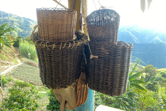 Coffee Tour in Medellín With Tastings and Transportation - Highlights and Positive Feedback
