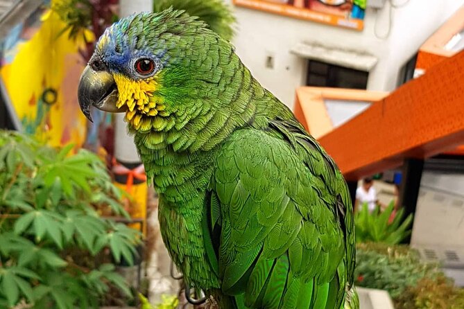 Comuna 13 Graffiti Tour With Street Food - Overall Traveler Recommendations