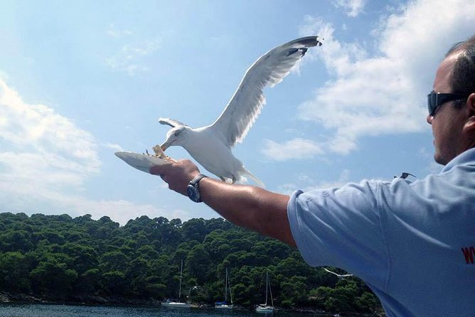 Dubrovnik Elafiti Islands Cruise With Lunch, Drinks and Pickup - Accessibility and Cancellation Policy