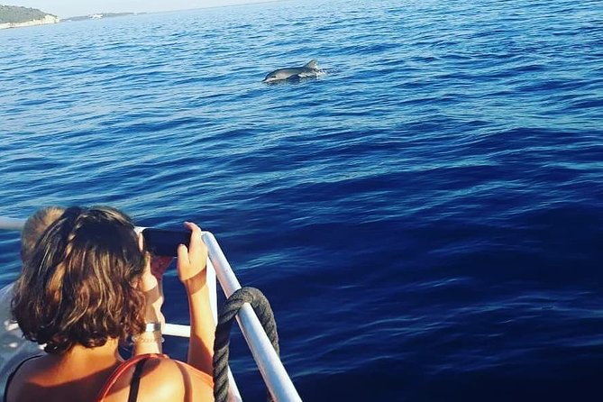 Exclusive Dolphin & Sunset Cruise With Dinner & Drinks From Pula - Important Considerations