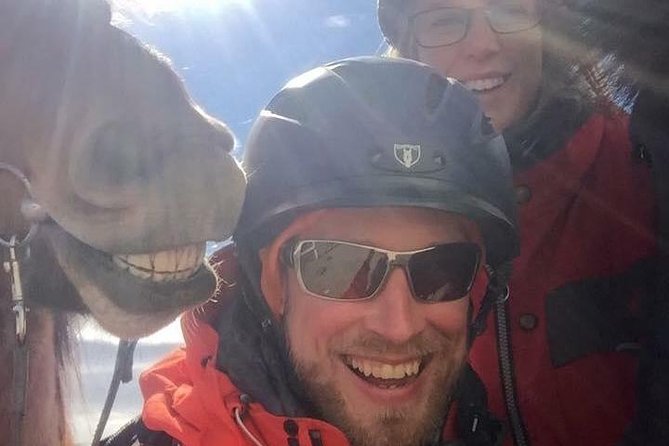 Icelandic Horseback Riding Tour Including Pick up From Reykjavik - What to Expect on the Ride