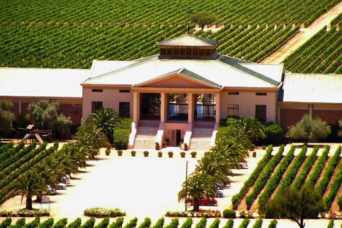 Isla Negra, Algarrobo and Viña Casas Del Bosque - Exploring Matetic Winery