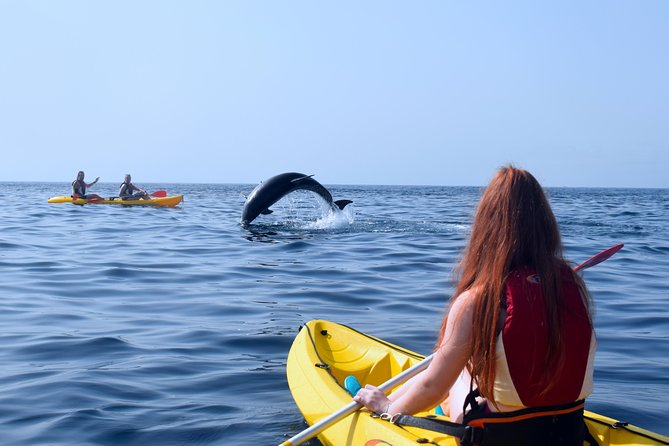 Kayaking With Dolphins and Turtles and Snorkelling in Tenerife - Highlights of the Tour