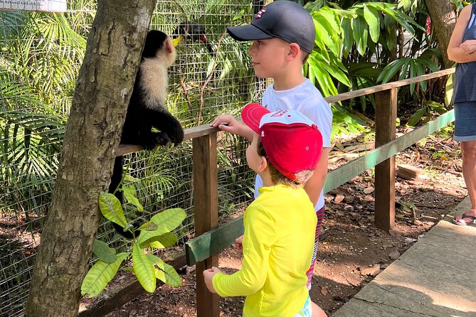 Monkey and Sloth, Chocolate Rum Tasting and Beach Break in Roatan - Convenient Booking and Pickup Options