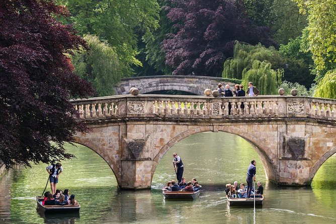 Punting Tour in Cambridge - Customer Reviews and Feedback