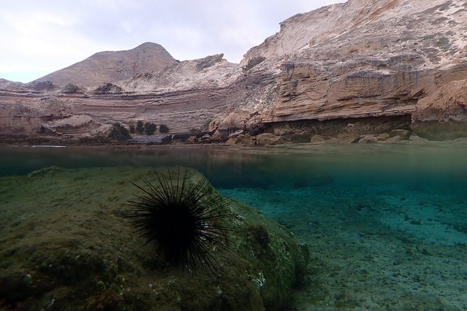 Snorkeling Tour - Equipment and Suitability