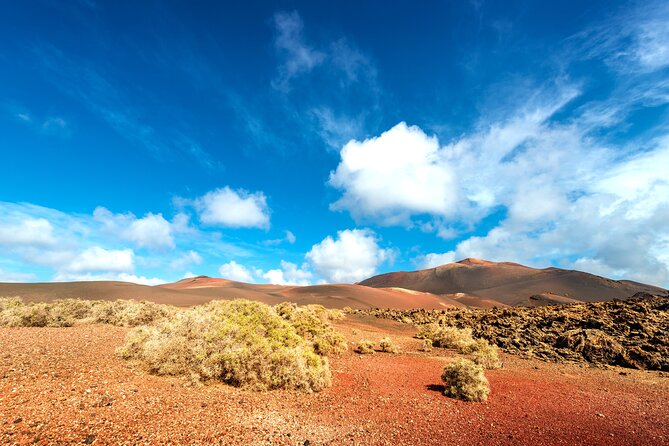 Timanfaya & Lanzarote Volcano Experience - Booking and Accessibility Information