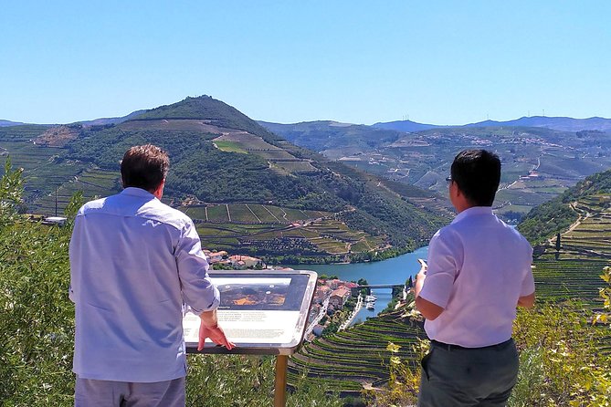 Wine Venture and Boat Trip in Douro Valley From Porto - Scenic Boat Trip on the Douro River