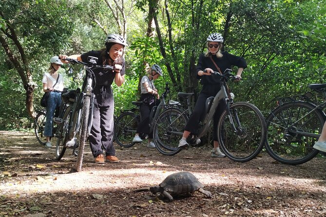 Athens Small Group Electric Bike Tour - Navigating Athens Hilly Terrain With E-Bikes