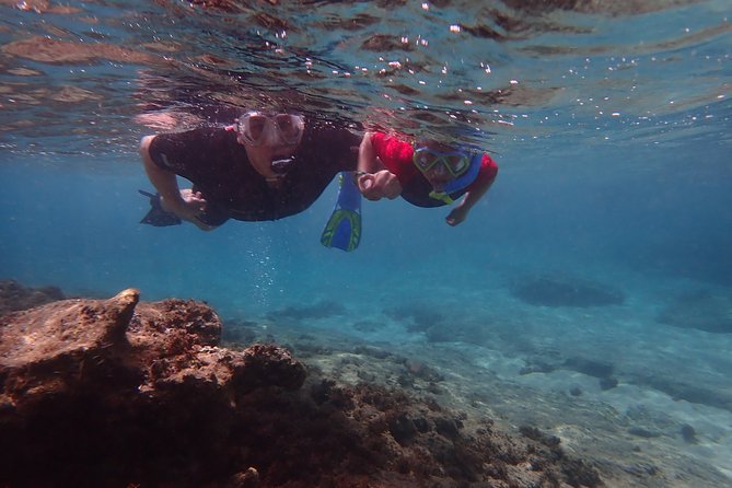 Snorkeling Tour - Customer Service Considerations