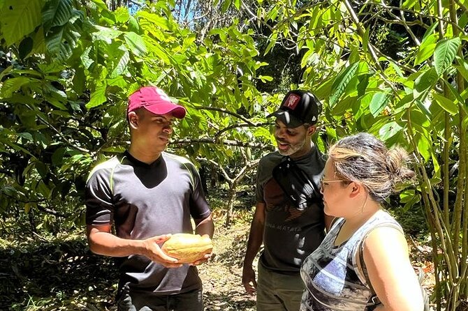 Bribri Magic Chocolate and Waterfall Experience - Key Points