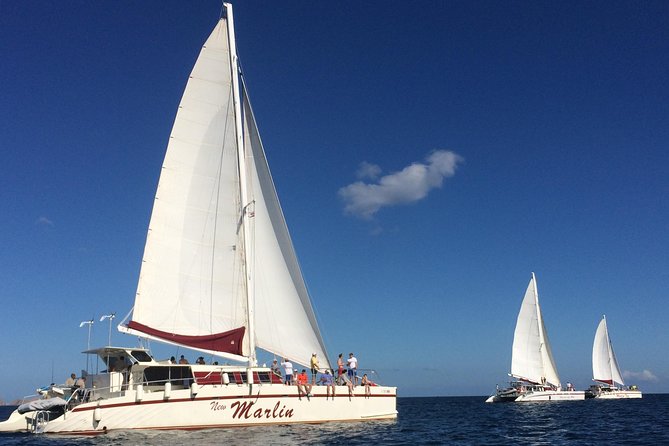 Catamaran Snorkeling & Sunset Sailing Tour - Key Points