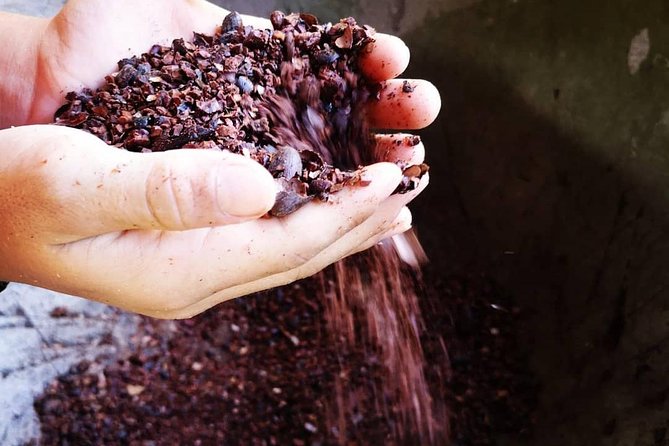 Chocolate and Coffee Tour Manuel Antonio - Key Points
