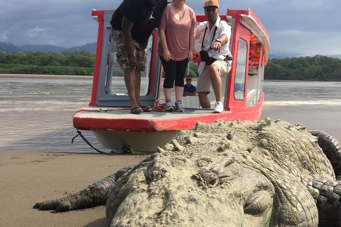 Crocodile Man Tour THE ORIGINAL - Key Points