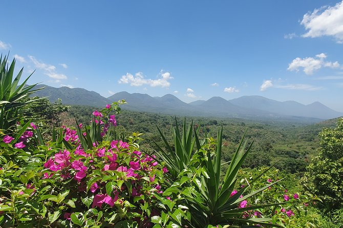 Full Day Ruta De Las Flores Visit Four Colonial Towns and Coffee Farm - Key Points