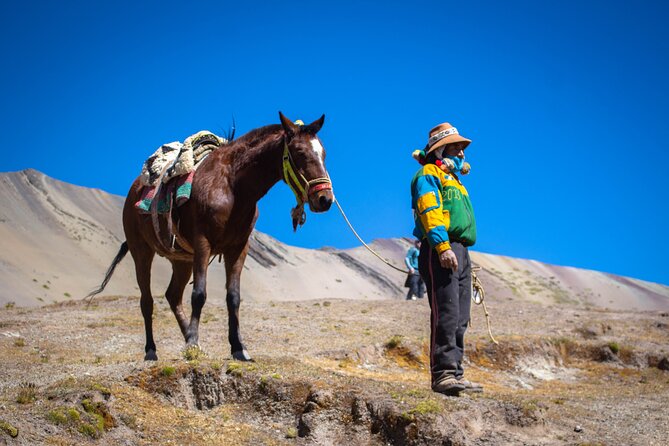 Full Day Tour to the Mountain of Colors From Cusco - Key Points