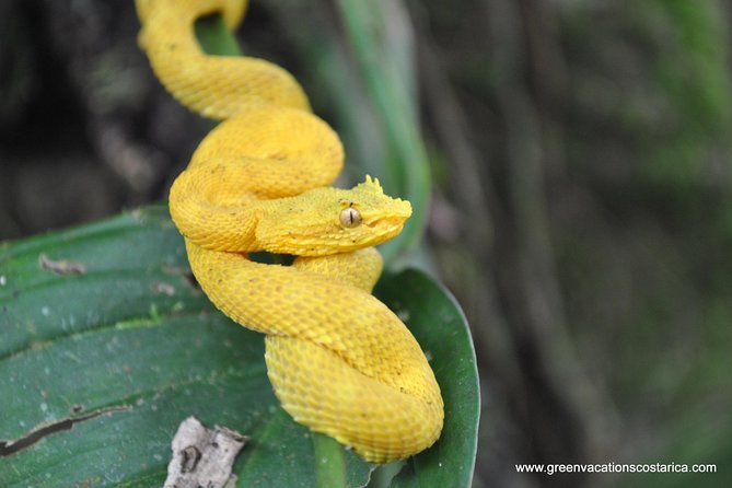 La Fortuna Wildlife Safari Float Tour - Tour Overview