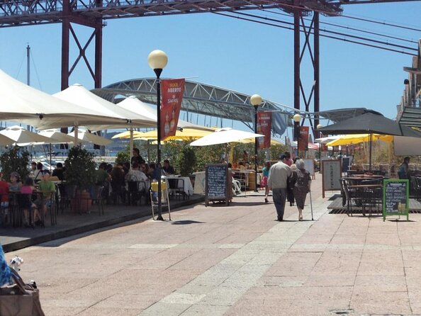Lisbon Dolphin Watching With a Marine Biologist in a Small Group - Key Points