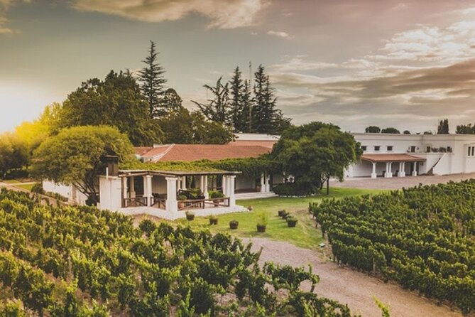 Mendoza Wine Tour With Lunch - Key Points
