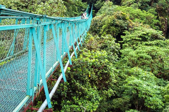 Monteverde Hanging Bridges Day Trip From San Jose - Itinerary and Activities