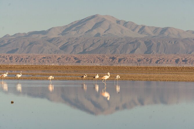 Red Stones + Altiplanic Lagoons and Atacama Salt Flat - Inclusions and Exclusions