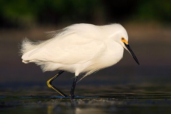 Safari Float and Wild Life Experience in Arenal - Overview and Experience