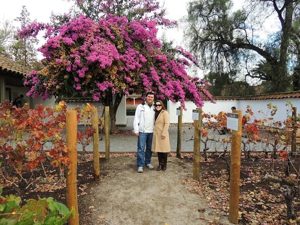 Santa Rita Winery Premium Tour - Key Points