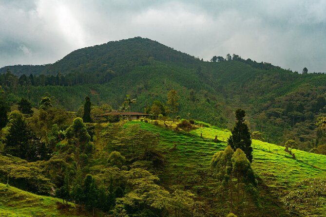 100-Year-Old Family Finca Adventure: Horseback Riding & More - Key Points