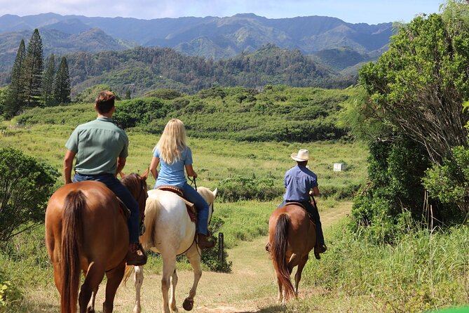 1 Hour Scenic Horseback Ride - Meeting Point and Logistics