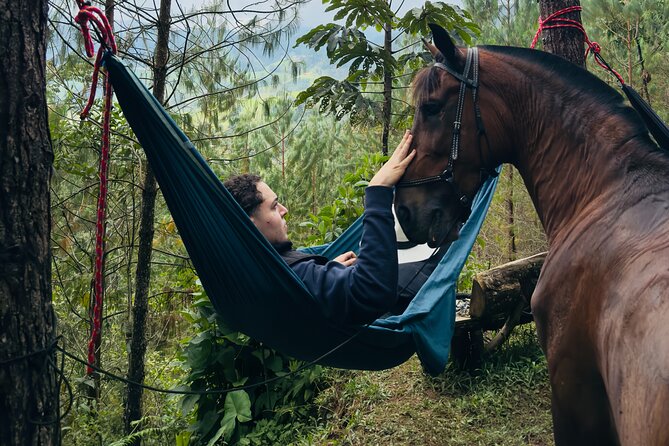 100-Year-Old Family Finca Adventure: Horseback Riding & More - Farm-to-Table Breakfast and Dairy Activities