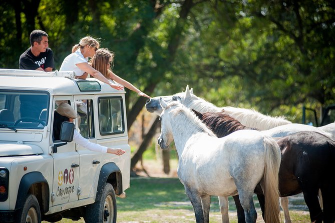 3.5 Hour Camargue 4x4 Safari From Le Grau-Du Roi - Meeting Details