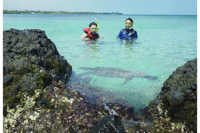 3.5 Hour Kailua-Kona Ocean Kayak and Snorkel Tour - Tour Details and Logistics