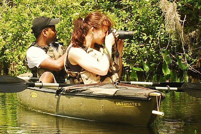 3 Hour Guided Mangrove Tunnel Kayak Eco Tour - Kayaking Experience