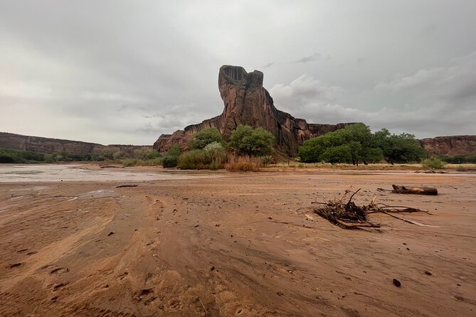 3-hour Private Tour - Inclusions and Meeting Information