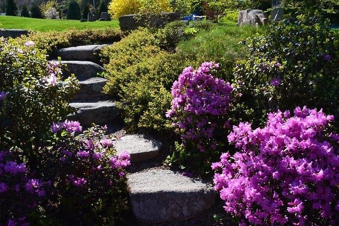 4 Hour Private Tour: Explore Acadia Natl Park, Fjord & Mansions - Cadillac Mountain and Park Loop Road