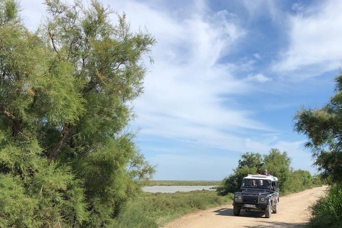 4x4 Camargue Safari 4h - Departure From Arles - Itinerary Highlights