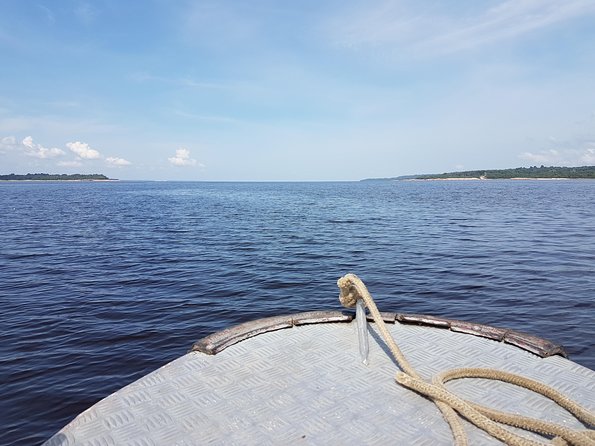 8-Hour Amazonas Jungle Treck & Anavilhanas Archipelago - Jungle Trekking Experience