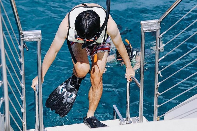 9am Turtle Canyon Snorkel Adventure - Inclusions and Meeting Details