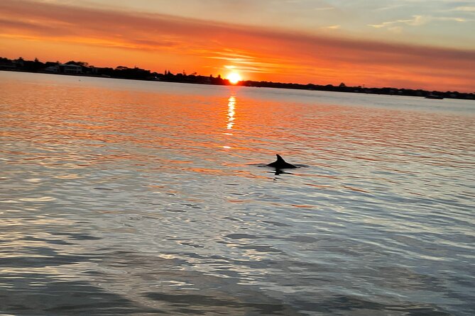 Adventure Boat Tours - Sunset Water Tour in St. Augustine - Highlights of the Tour