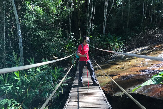 Adventure & History at Tijuca Forest (Small Group or Private) - Inclusions and Transportation